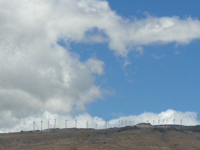 11e5f5d0.jpg