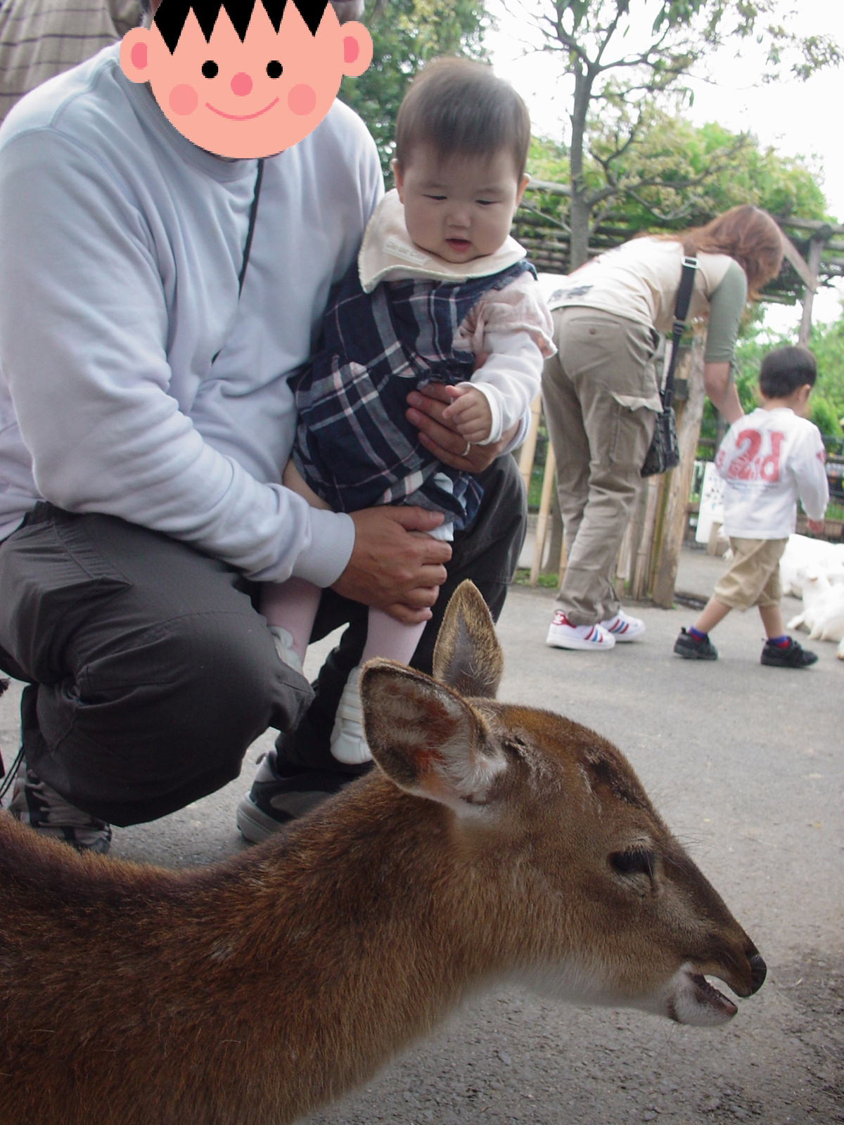 あらかわ遊園 はな坊の生活 あらかわ遊園 はな坊の生活