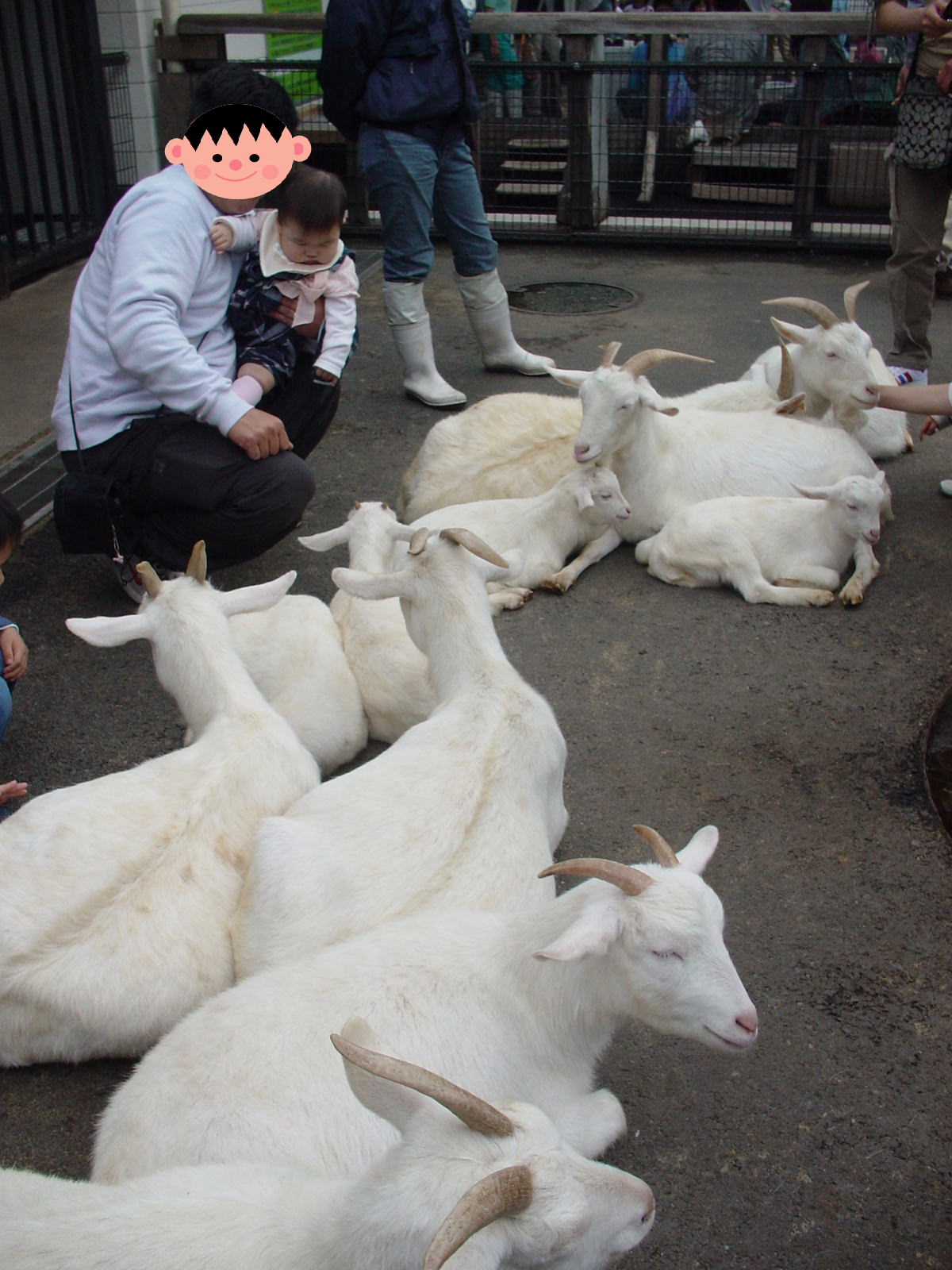 あらかわ遊園 はな坊の生活 あらかわ遊園 はな坊の生活