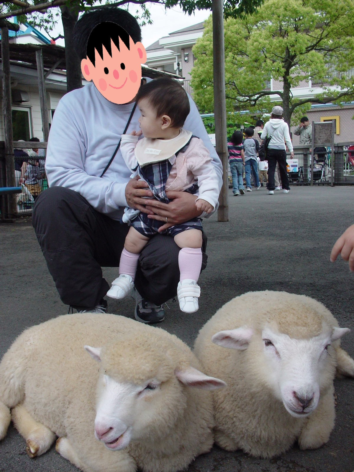 あらかわ遊園 はな坊の生活 あらかわ遊園 はな坊の生活