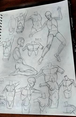 素人がひたすら絵の練習するブログ モルフォ模写4 素人がひたすら絵の練習するブログ モルフォ模写4