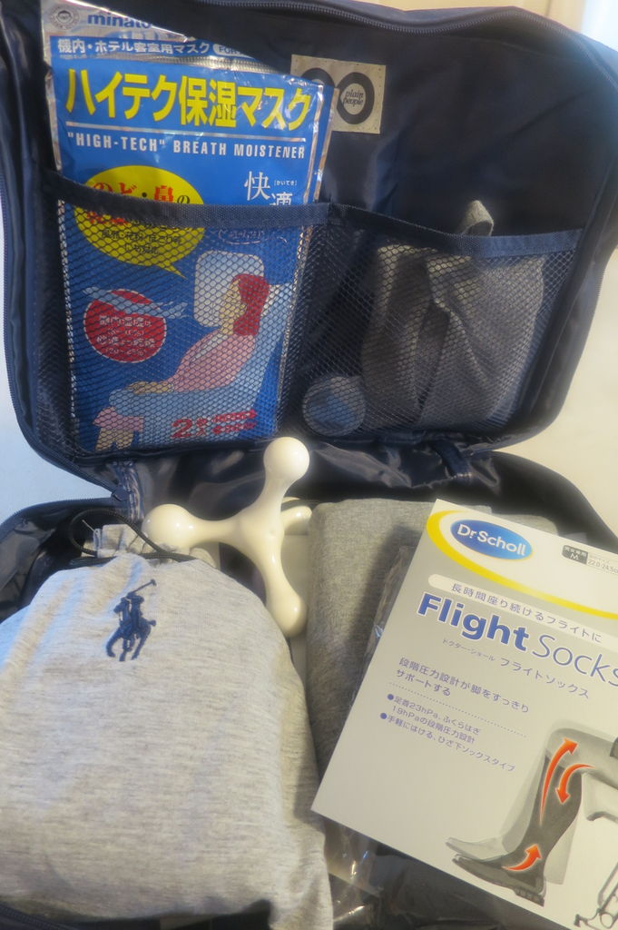 飛行機内に持ち込む快適グッズいろいろ アラフィフ母の世界に飛び出す 子育て日記と親子海外旅行記