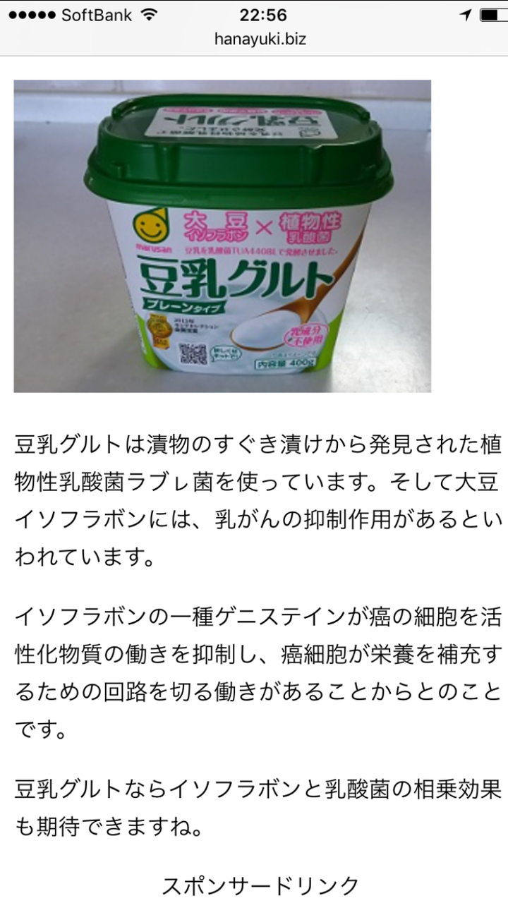 術後6ヶ月経過 体調と豆乳グルト 乳がんブログ ステージ1からの治療 つぶやき 術後6ヶ月経過 体調と豆乳グルト 乳がんブログ ステージ1からの治療 つぶやき