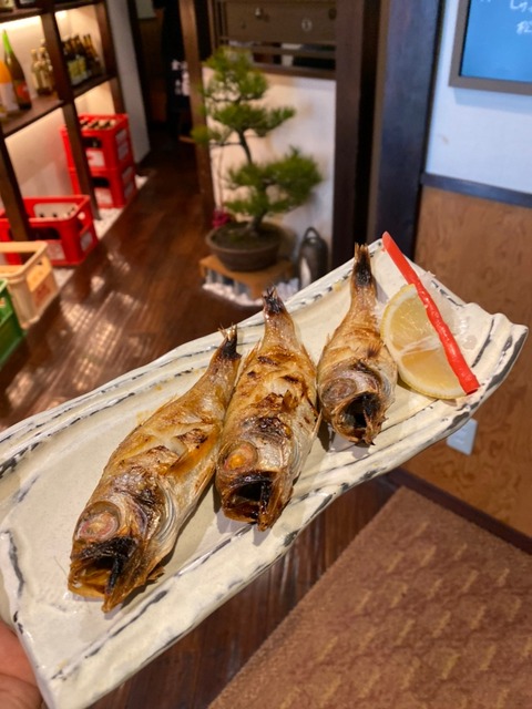 LINE_ALBUM_20230125_230125_5