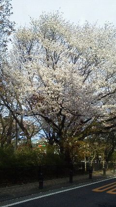 201404061611001