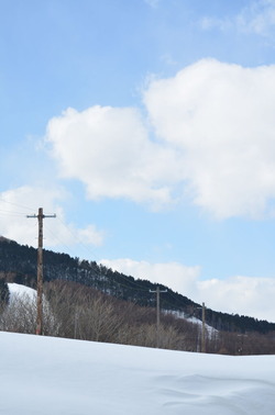 DSC_0031