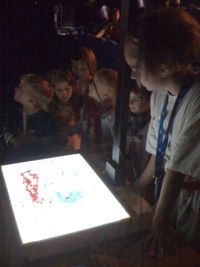 Chermnitz festival_3