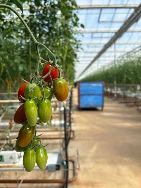 食糧安全保障の重要性を再確認する