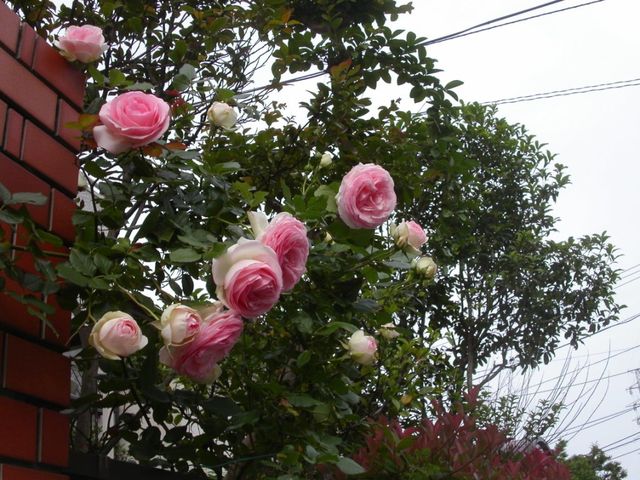 イメージ 1