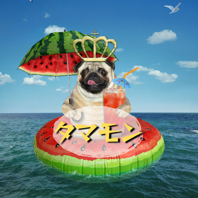 タマモン (1)