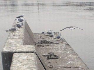 20110402