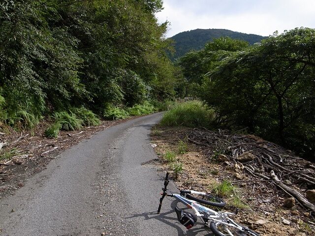 林道 滋賀から福井 自転車
