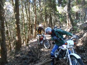 kumasan3