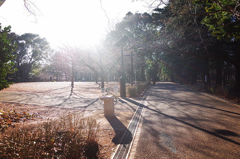 f:id:mount-hayashi:20170117225107j:plain