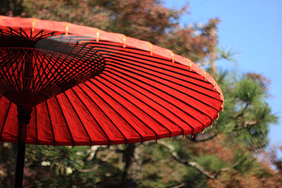 f:id:mount-hayashi:20161119210132j:plain