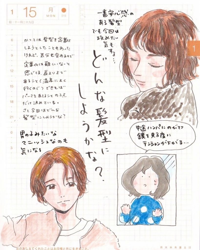 f:id:mount-hayashi:20180115171708j:plain