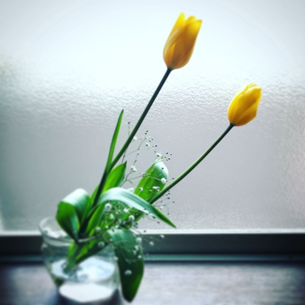 f:id:mount-hayashi:20180316142017j:plain f:id:mount-hayashi:20180316142017j:plain