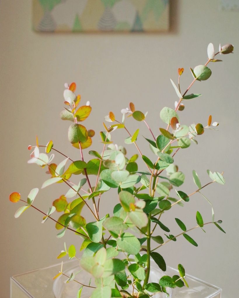 f:id:mount-hayashi:20170325191824j:plain