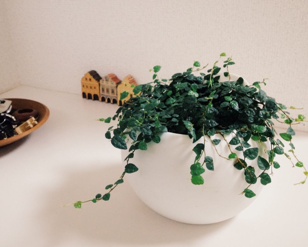 f:id:mount-hayashi:20151121173305j:plain