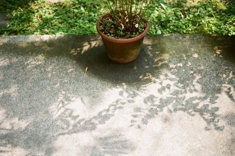 f:id:mount-hayashi:20170321204338j:plain