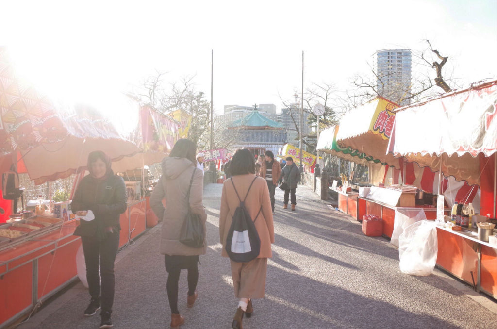 f:id:mount-hayashi:20170117224601j:plain