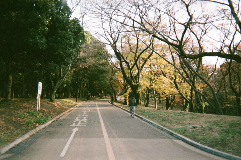 f:id:mount-hayashi:20170206185904j:plain