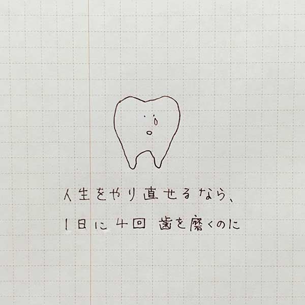 f:id:mount-hayashi:20170111214353j:plain