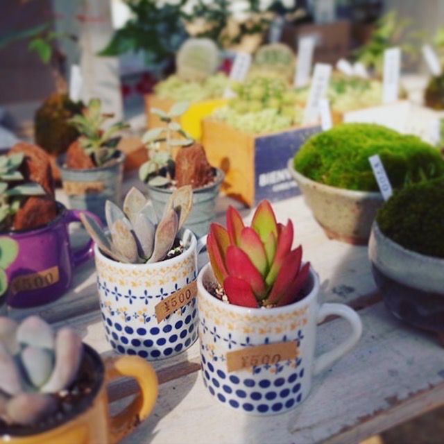 f:id:mount-hayashi:20170228175438j:plain