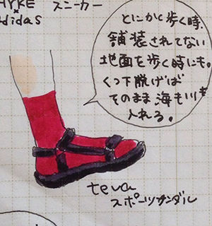 f:id:mount-hayashi:20160529094853j:plain