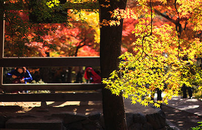 f:id:mount-hayashi:20161119210002j:plain