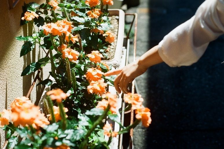 f:id:mount-hayashi:20150424000445j:plain