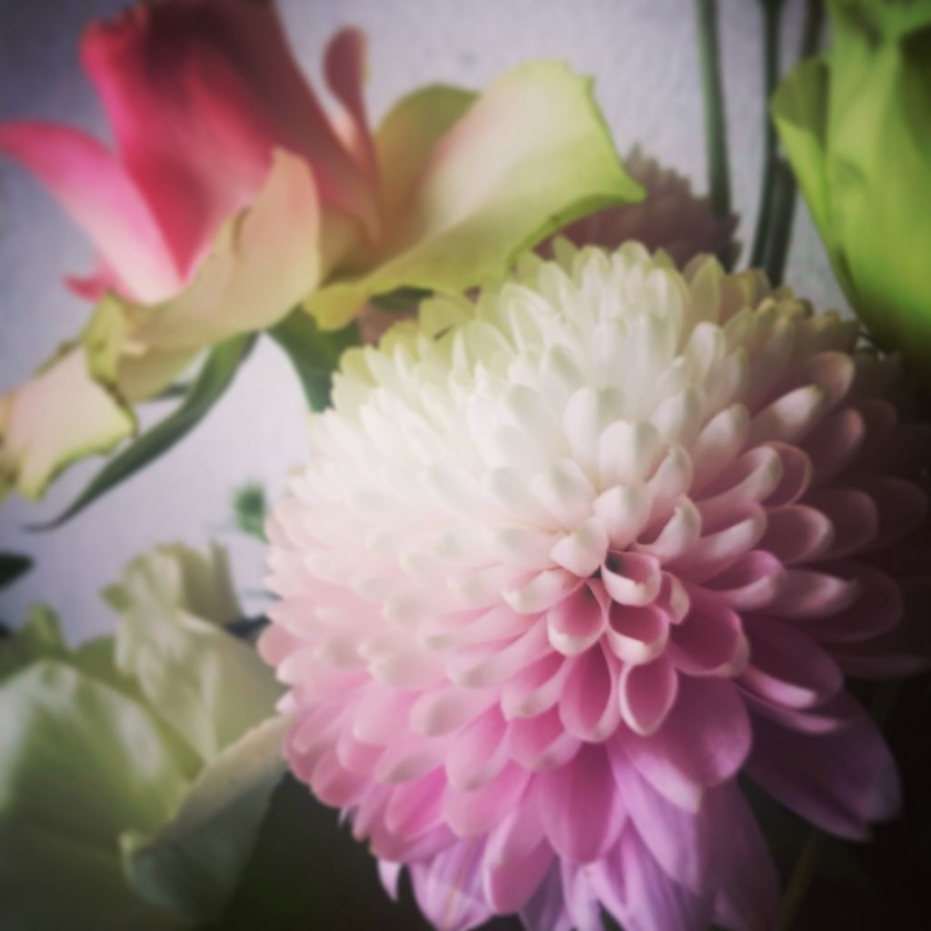 f:id:mount-hayashi:20180418105549j:plain f:id:mount-hayashi:20180418105549j:plain