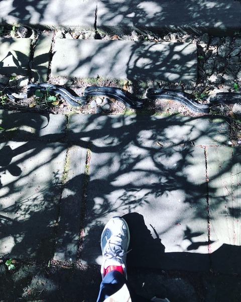 49D3302F-C3CF-42B2-BFFB-DC5BA0B68A7C