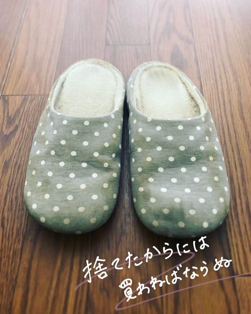 f:id:mount-hayashi:20180928132544j:plain f:id:mount-hayashi:20180928132544j:plain