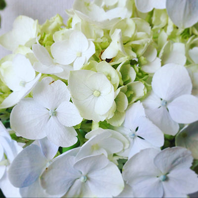 f:id:mount-hayashi:20160526091450j:plain