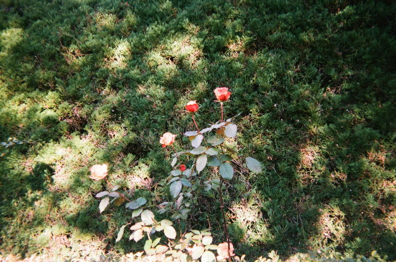 f:id:mount-hayashi:20170206185142j:plain