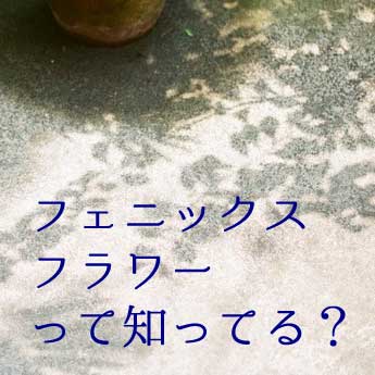 f:id:mount-hayashi:20170923171023j:plain