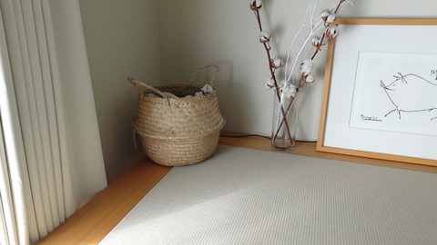 Snapshot_33