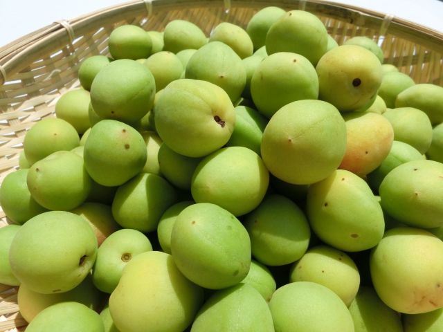 f:id:mount-hayashi:20160606214244j:plain