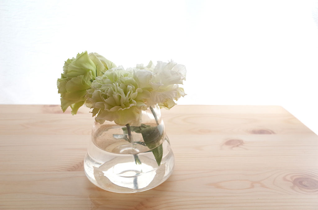 f:id:mount-hayashi:20160217175335j:plain