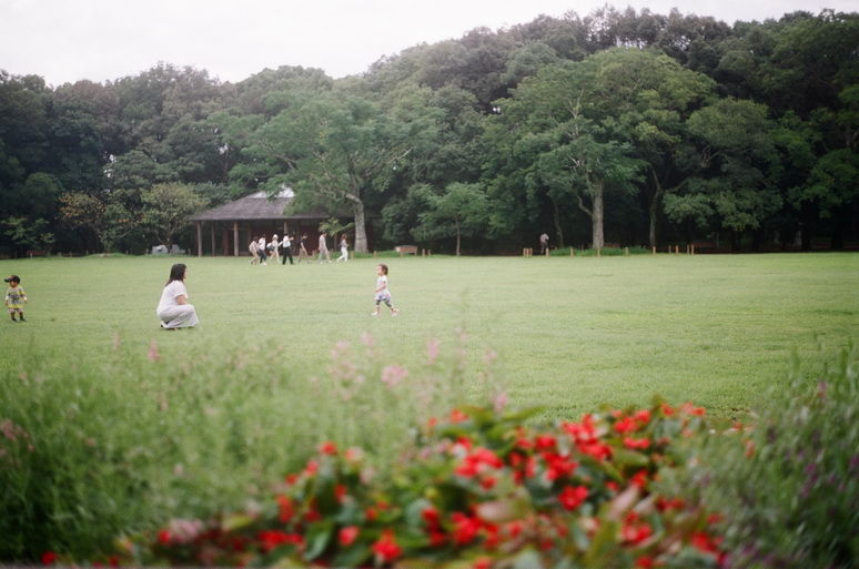 f:id:mount-hayashi:20150626184917j:plain f:id:mount-hayashi:20150626184917j:plain