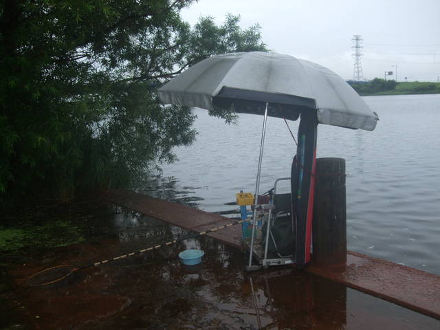 DSCF1967