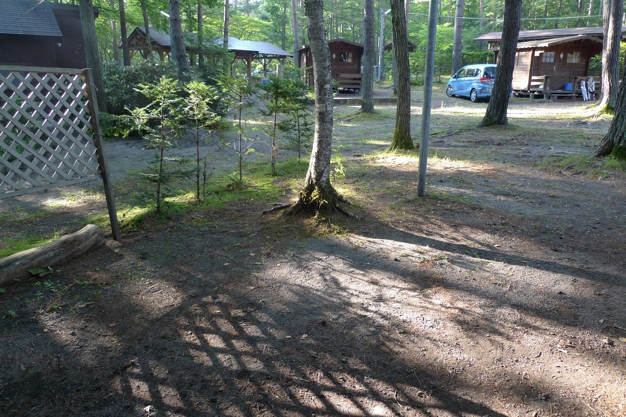s-P1530653