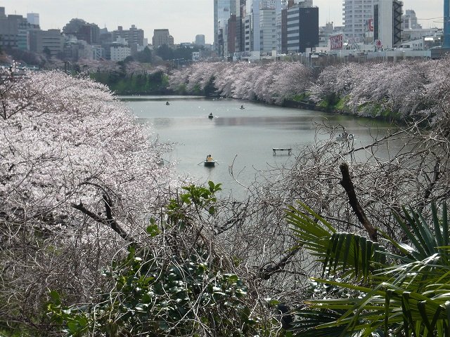 飯田橋の魅力!