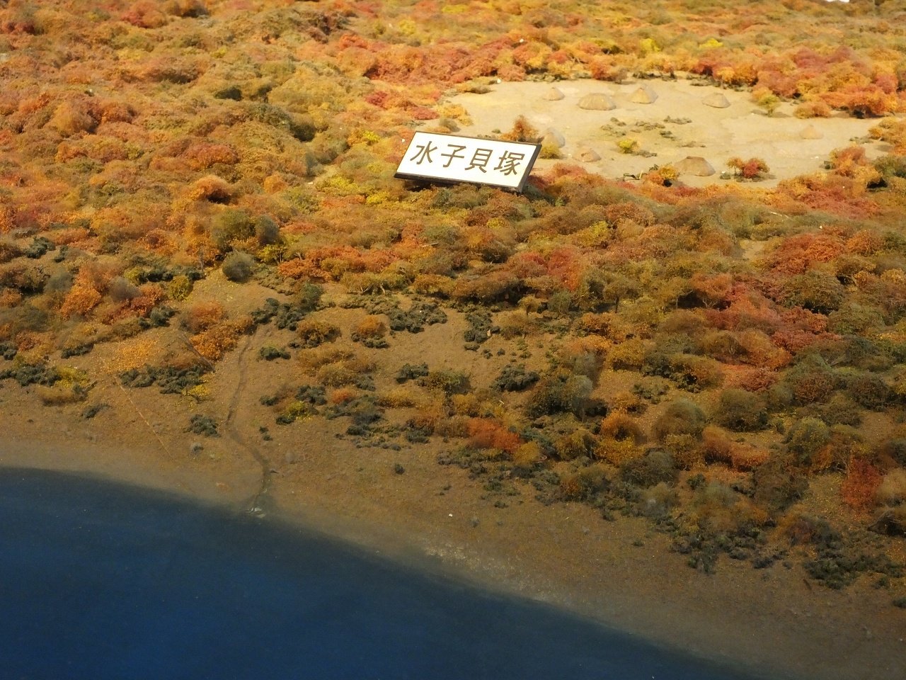 s-DSCF6171