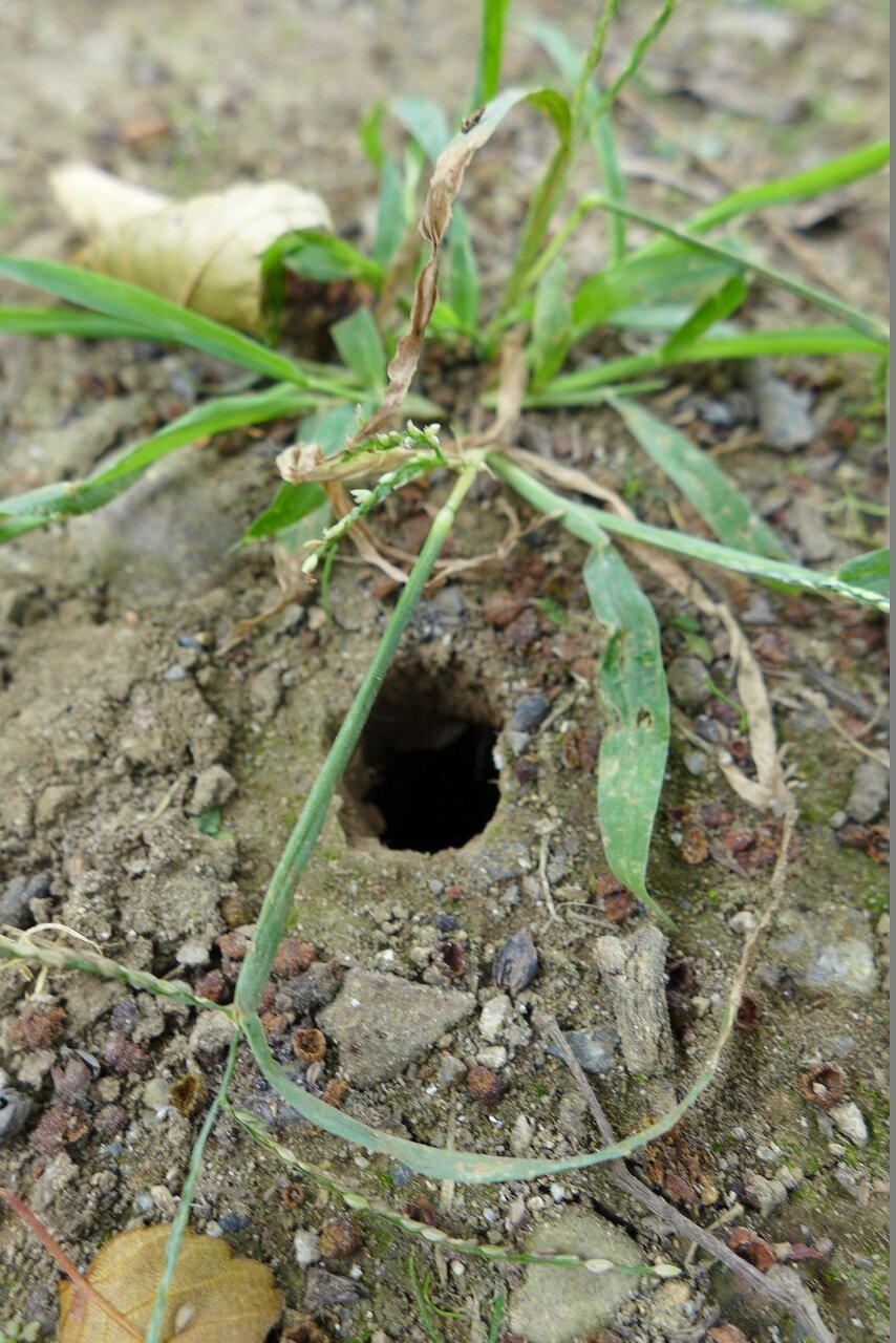s-P1350308