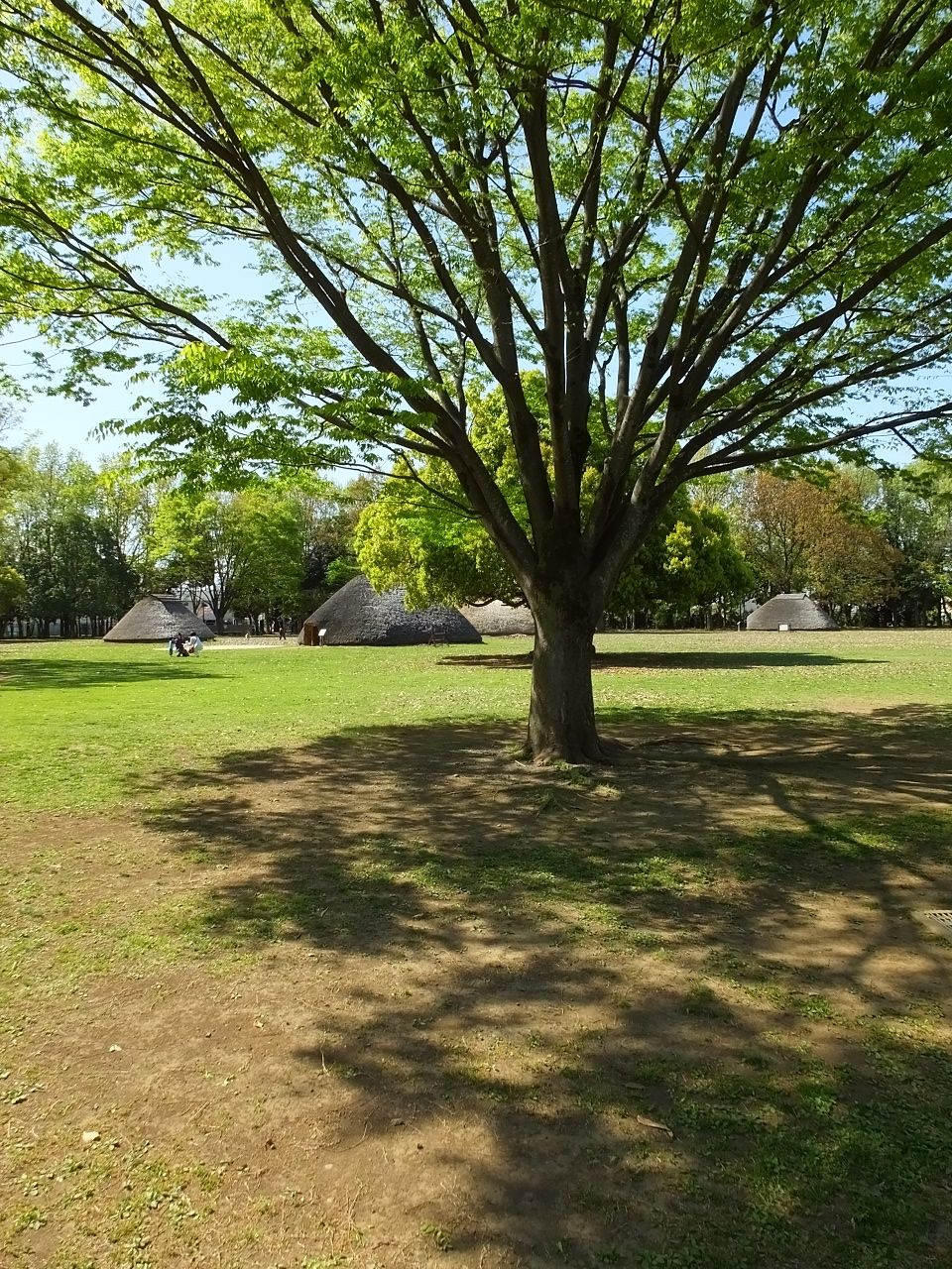 s-DSCF6162