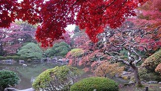 s-もみじ公園の紅葉