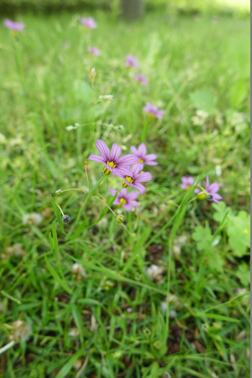 s-P1300507