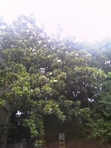 31df32b3.jpg